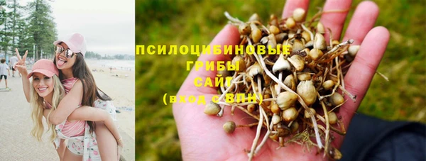 jwh Армянск