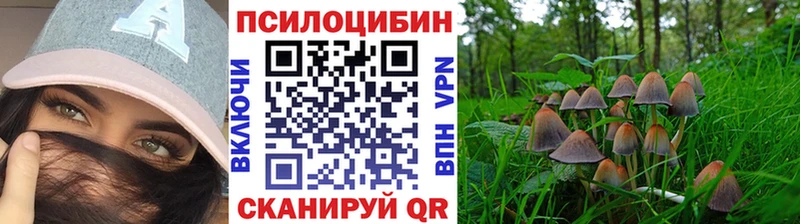 Галлюциногенные грибы прущие грибы  Купить где  Старый Крым 